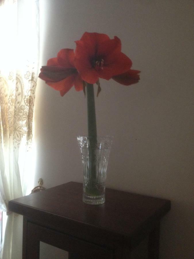 Beb Binario39 Bed and Breakfast Νάπολη Εξωτερικό φωτογραφία